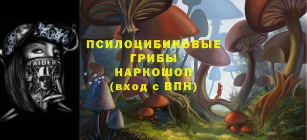 MESCALINE Осинники