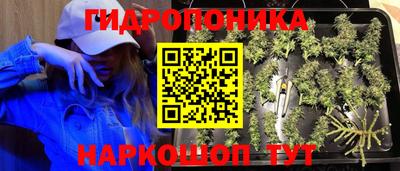 прущие грибы Бузулук