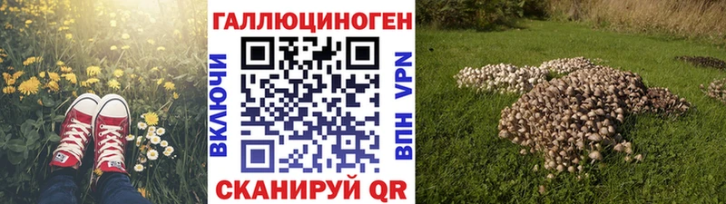 Псилоцибиновые грибы Cubensis  магазин  наркотиков  Киреевск 