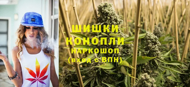 Бошки марихуана SATIVA & INDICA  Киреевск 